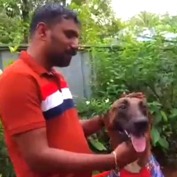 வெளியான சீக்ரெட் வீடியோ