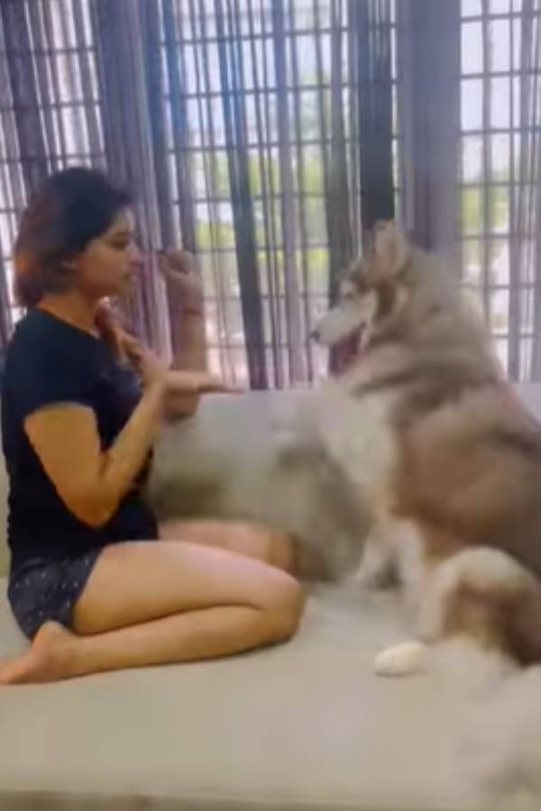 ஹீரோயினாக