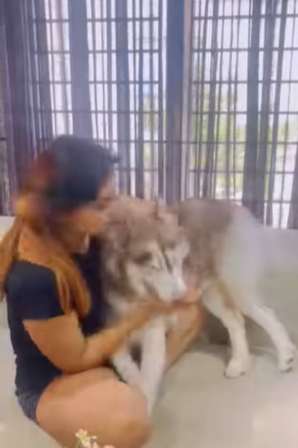 இதெல்லாம் ரொம்ப ஓவர்