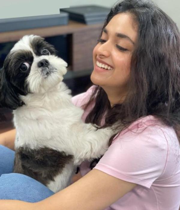 கொடுத்துவைத்த நாய்