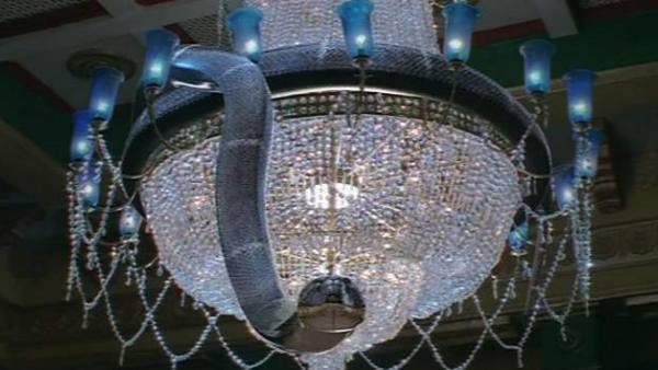 பாம்பு என்னதான் ஆனது பாம்பு என்னதான் ஆனது