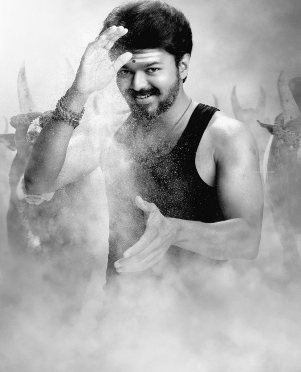 விஜய்யின் வாரிசு படம் 