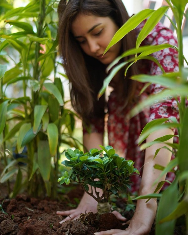 ராஷி கண்ணாவின் பிறந்தநாள் 