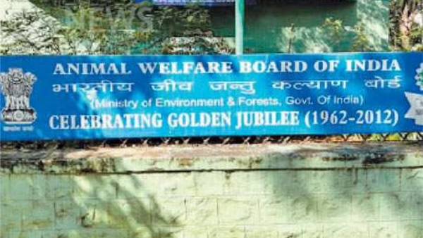 விலங்குகள் நல வாரியம் நோட்டீஸ் விலங்குகள் நல வாரியம் நோட்டீஸ்