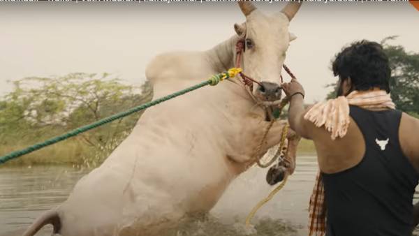 4வது சீசன் விமர்சனம்