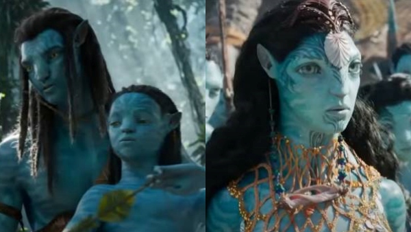 முழுக்க தண்ணீருக்கு அடியில் முழுக்க தண்ணீருக்கு அடியில்