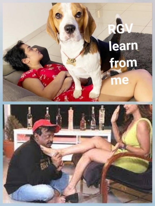 மோசமான விளக்கம்