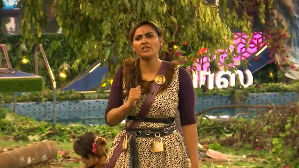 மைனா விளாசல் 