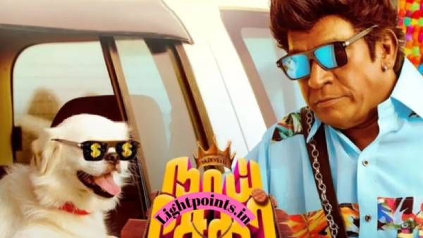  வரலாறு முக்கியம் வசூல் நிலவரம்