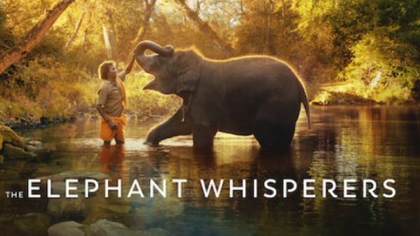 3 பிரிவுகளில் இந்திய படங்கள் 3 பிரிவுகளில் இந்திய படங்கள்