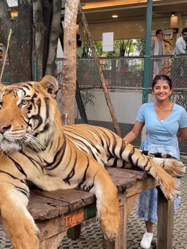 உங்க மாமாக்குட்டியா?