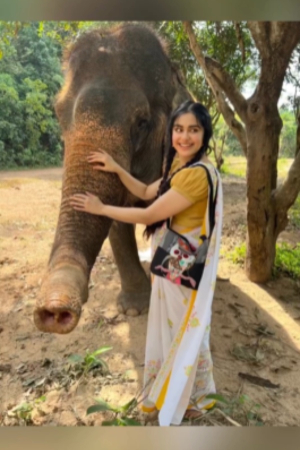 துணிச்சல் அதிகம் துணிச்சல் அதிகம்