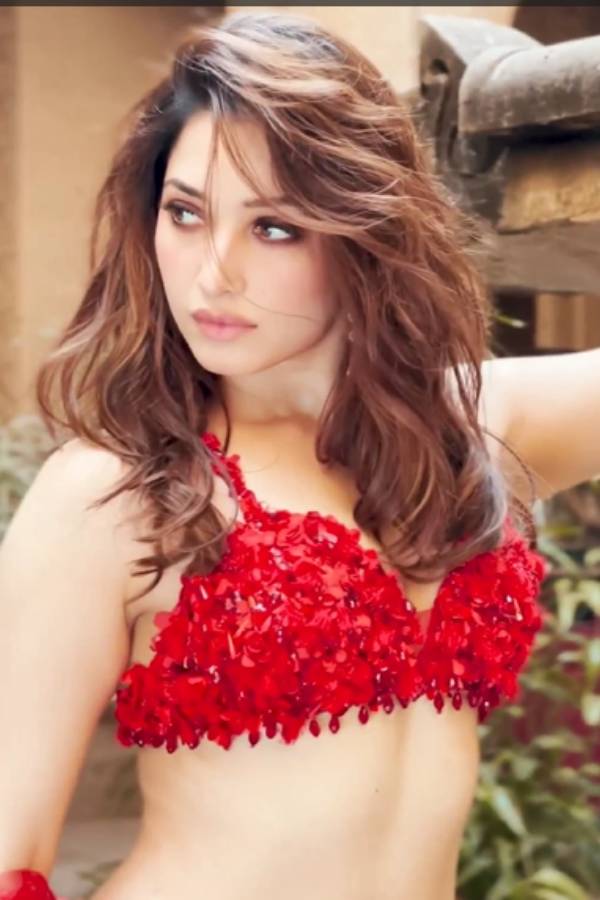 சர்ச்சையில் தமன்னா சர்ச்சையில் தமன்னா