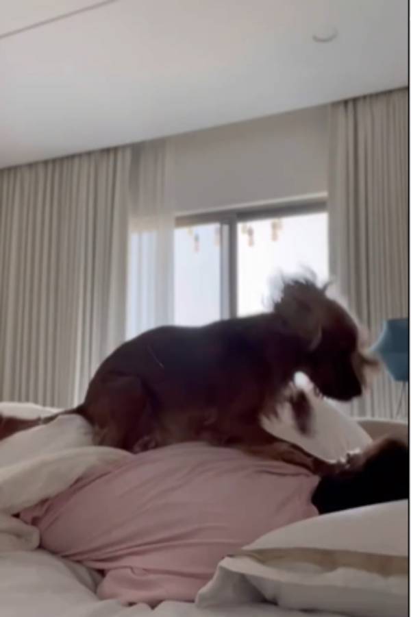 வைரலாகும் பெட்ரூம் வீடியோ