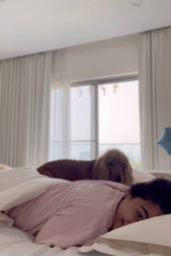 காதலர் தின வாழ்த்து