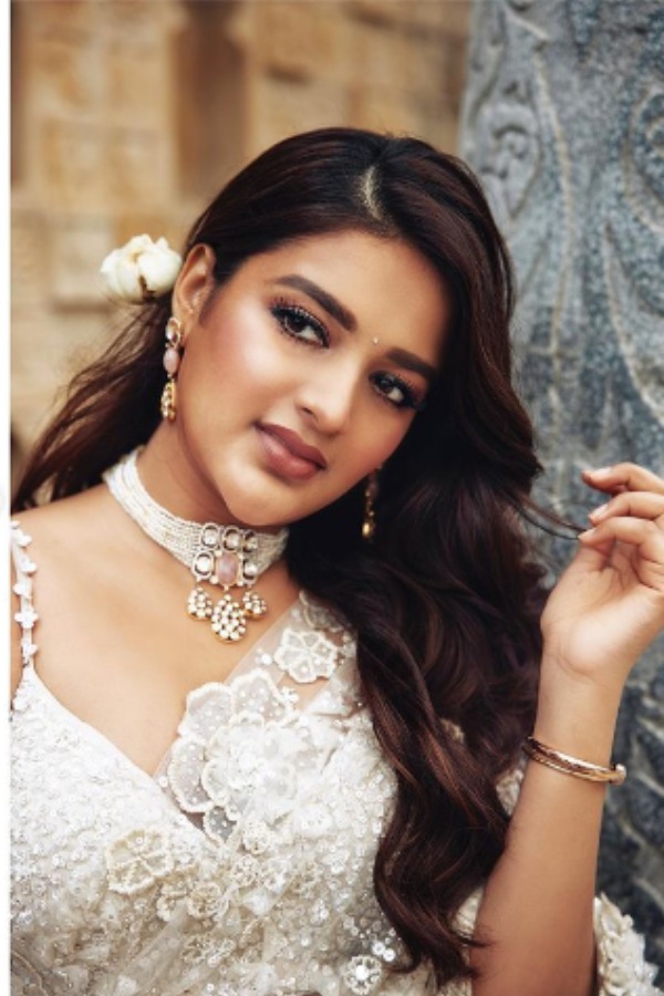 தெலுங்கு படத்தில் 