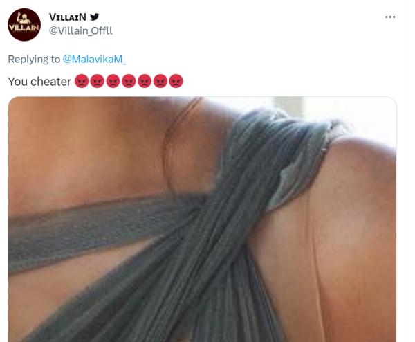 யூ சீட்டர் 