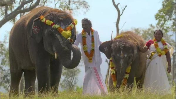 தி எலிபெண்ட் விஸ்பரர்ஸ் தி எலிபெண்ட் விஸ்பரர்ஸ்