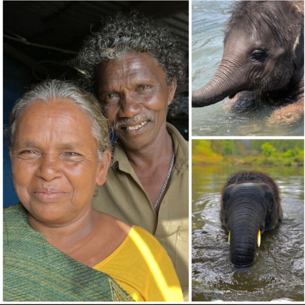 அன்புக்கு கிடைத்த ஆஸ்கர் 