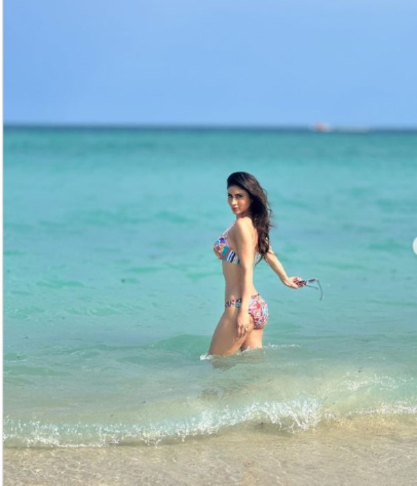 சீரியல் மூலம் பிரபலம் 