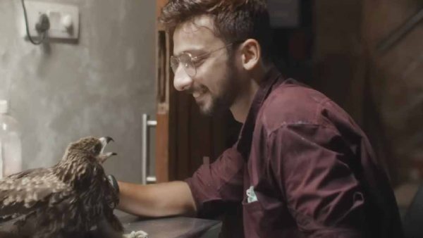  ஆல் தட் ப்ரீத்ஸ் 