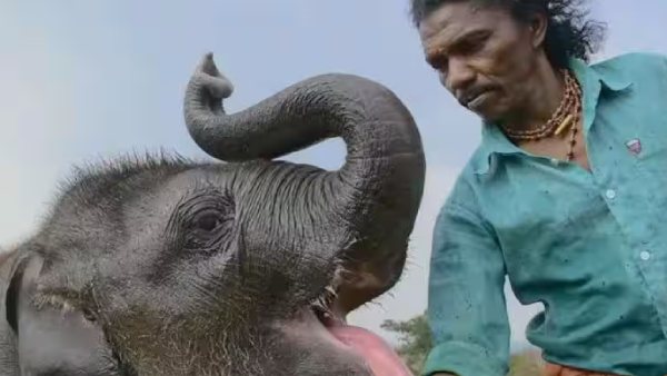  இந்திய சினிமாவுக்கு விருது