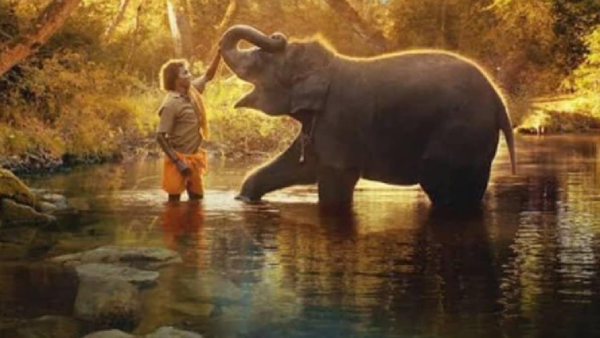  தி எலிபெண்ட் விஸ்பெரர்ஸ் 