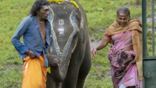 கார்த்திகியின் The Elephant Whisperers 