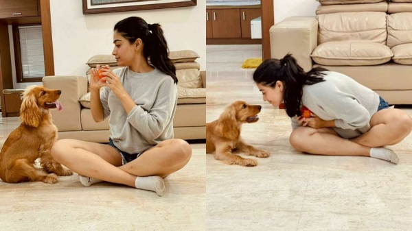 சொத்து மதிப்பு 