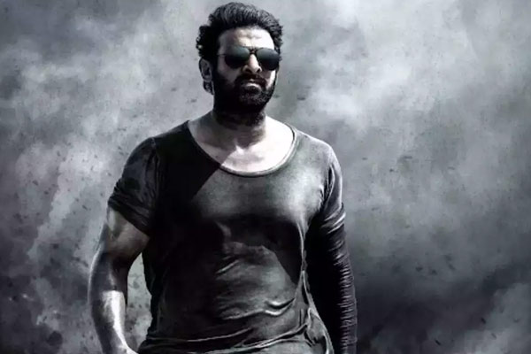 KGF Vs Salaar: Prashanth Neel Salaar is reported to be the film in the universal concept of KGF KGF Vs Salaar: Prashanth Neel Salaar is reported to be the film in the universal concept of KGF