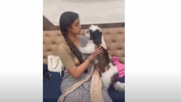 video of Keerthy Suresh asking kiss from her dog 