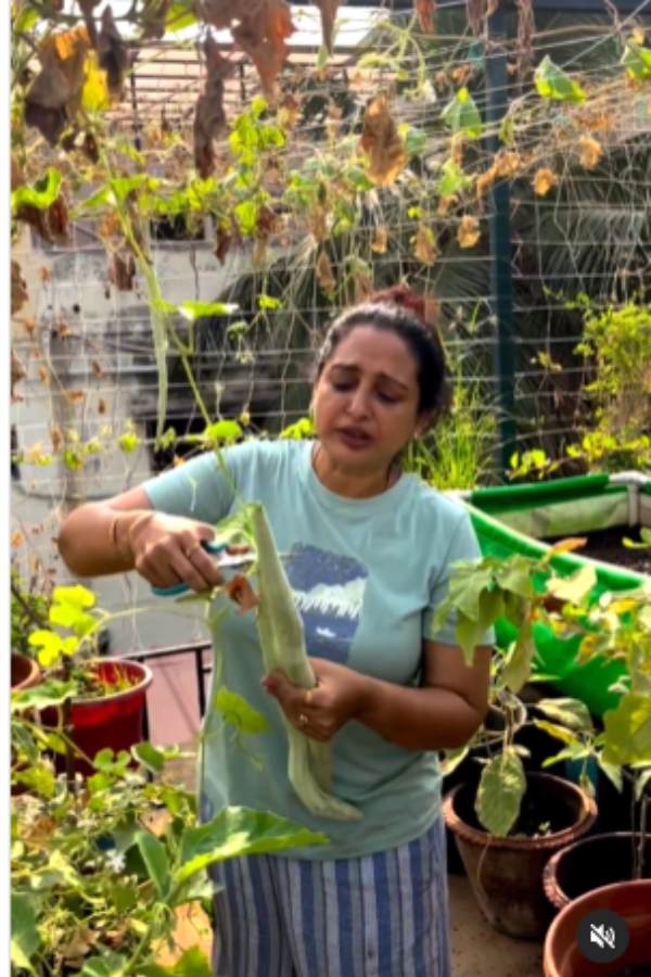 Actress Seetha gets many comments from fans on Instagram, Youtube 