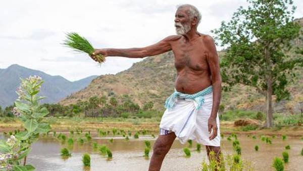 குடும்பத்தின் நிலை என்ன? 