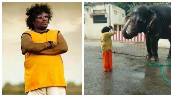 Fans eagerly waiting to see Tamil new movies 