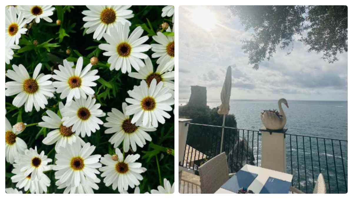 actress Mouni Roy shared hot red bikini photoshoots