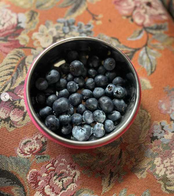 Actress Samanthas Instagram sharing makes her fans more thrilling