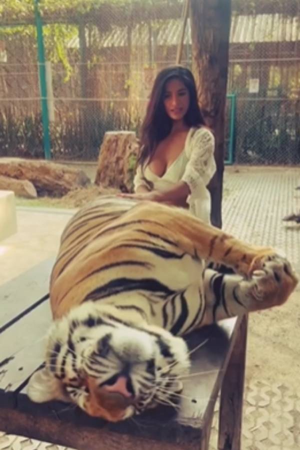 Poonam Pandey plays with Tiger video stuns social media 