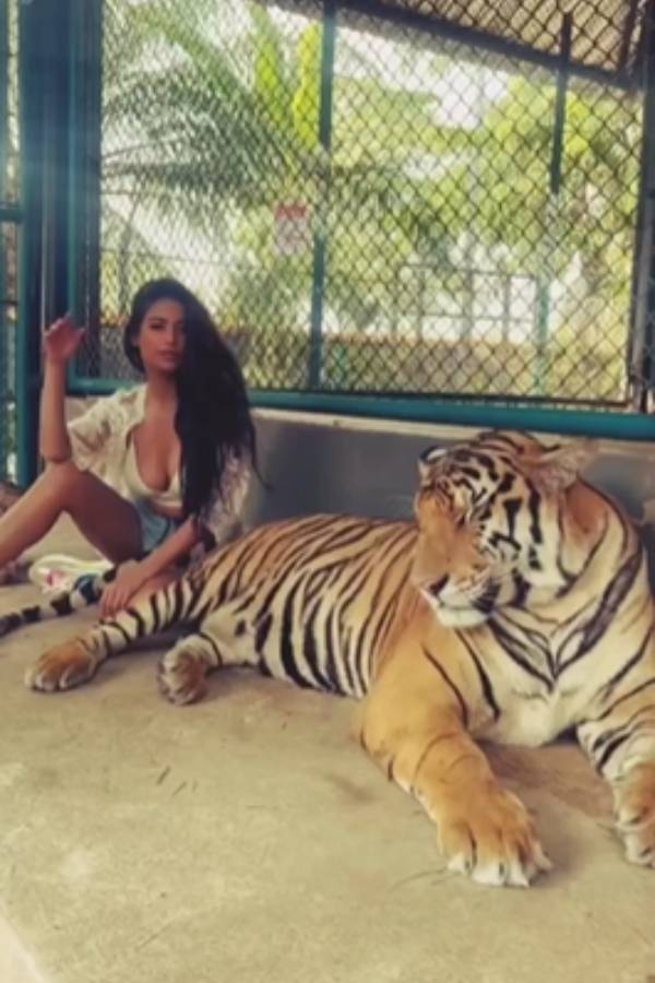 Poonam Pandey plays with Tiger video stuns social media 