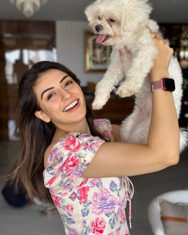 Actress hansika motwanis cute pet dog