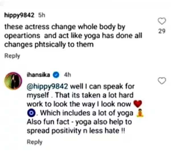 hansika motwani replied to the netizens who mocks her hansika motwani replied to the netizens who mocks her