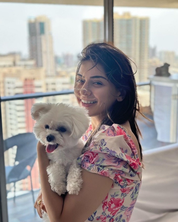 Actress hansika motwanis cute pet dog