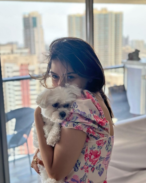 Actress hansika motwanis cute pet dog