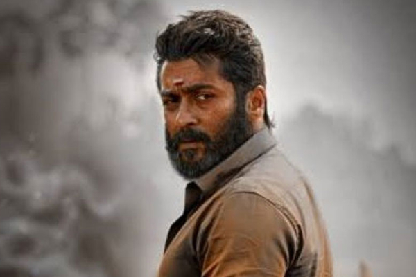 Vaadivaasal: Blue Sattai Maran Trolls Suriya for acting with Graphics Bull In Vaadivaasal film Vaadivaasal: Blue Sattai Maran Trolls Suriya for acting with Graphics Bull In Vaadivaasal film