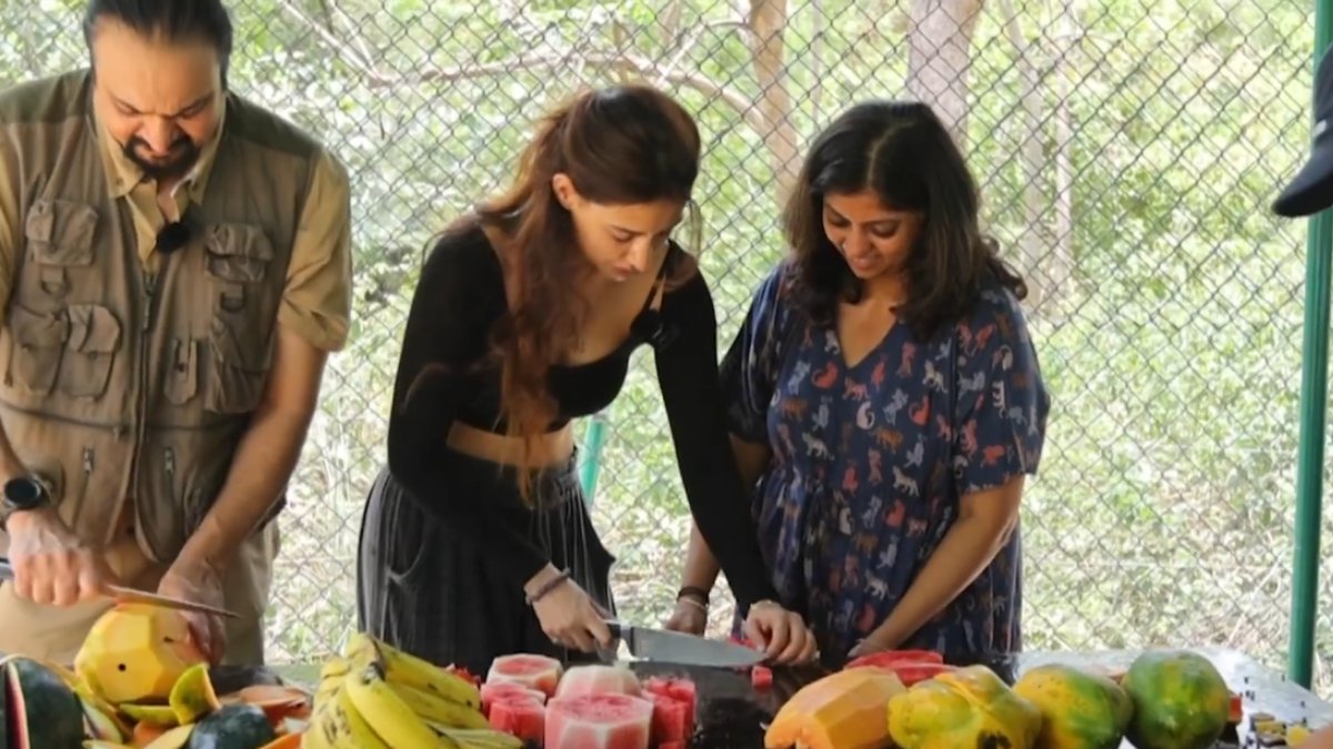 Kanguva Heroine Disha Patani provides fruits and food to Elephants video goes trending Kanguva Heroine Disha Patani provides fruits and food to Elephants video goes trending