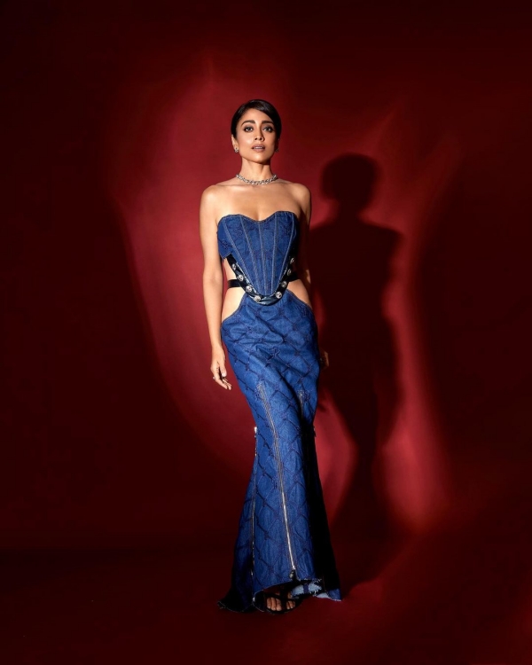 Actress Shriya sarans new photoshoot pictures makes fans happy 