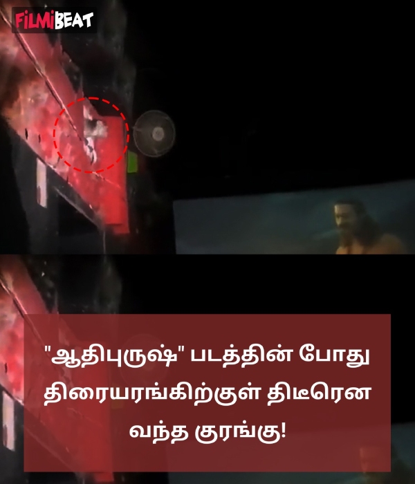 Adipurush: A monkey entered the theater where Prabhas Adipurush film screening Adipurush: A monkey entered the theater where Prabhas Adipurush film screening