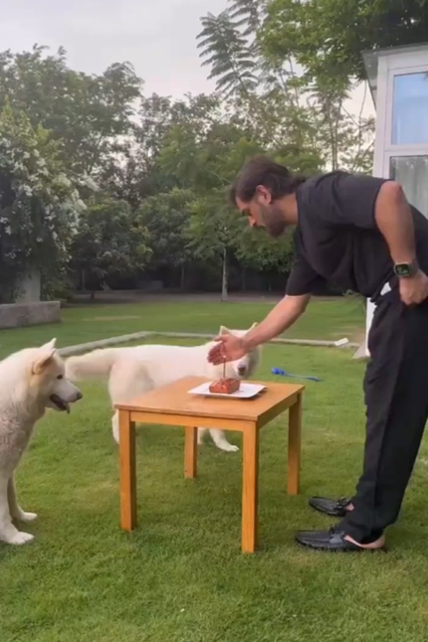 Indian cricket team former Captain Dhoni celebrates his birthday with his Dogs Indian cricket team former Captain Dhoni celebrates his birthday with his Dogs