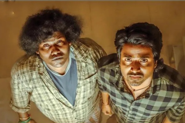 Sivakarthikeyans Maaveeran crosses 50 crore at Box Office in a opening week Sivakarthikeyans Maaveeran crosses 50 crore at Box Office in a opening week