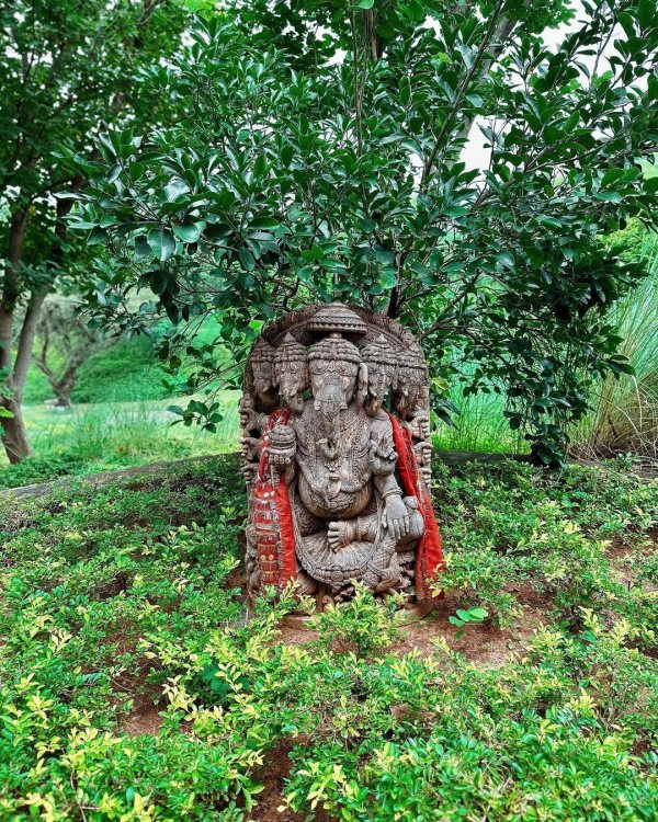 Actress Samantha shows her confidence that best times yet to come