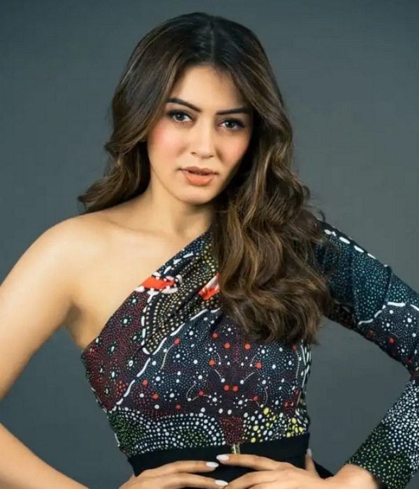 Hansika Motwani Birthday here is the details about her Total Net Worth 